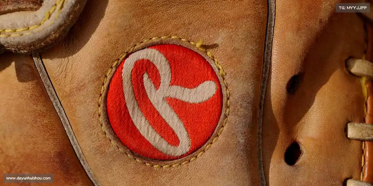 为什么选择我们